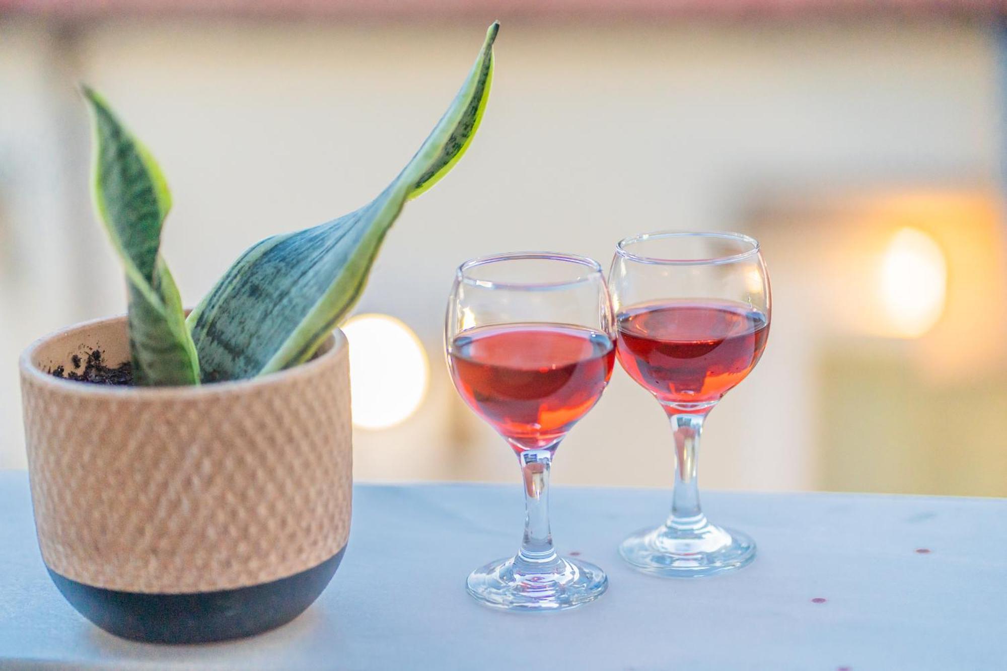 The Stone Manor , Noho Boutique Thissio 아테네 외부 사진